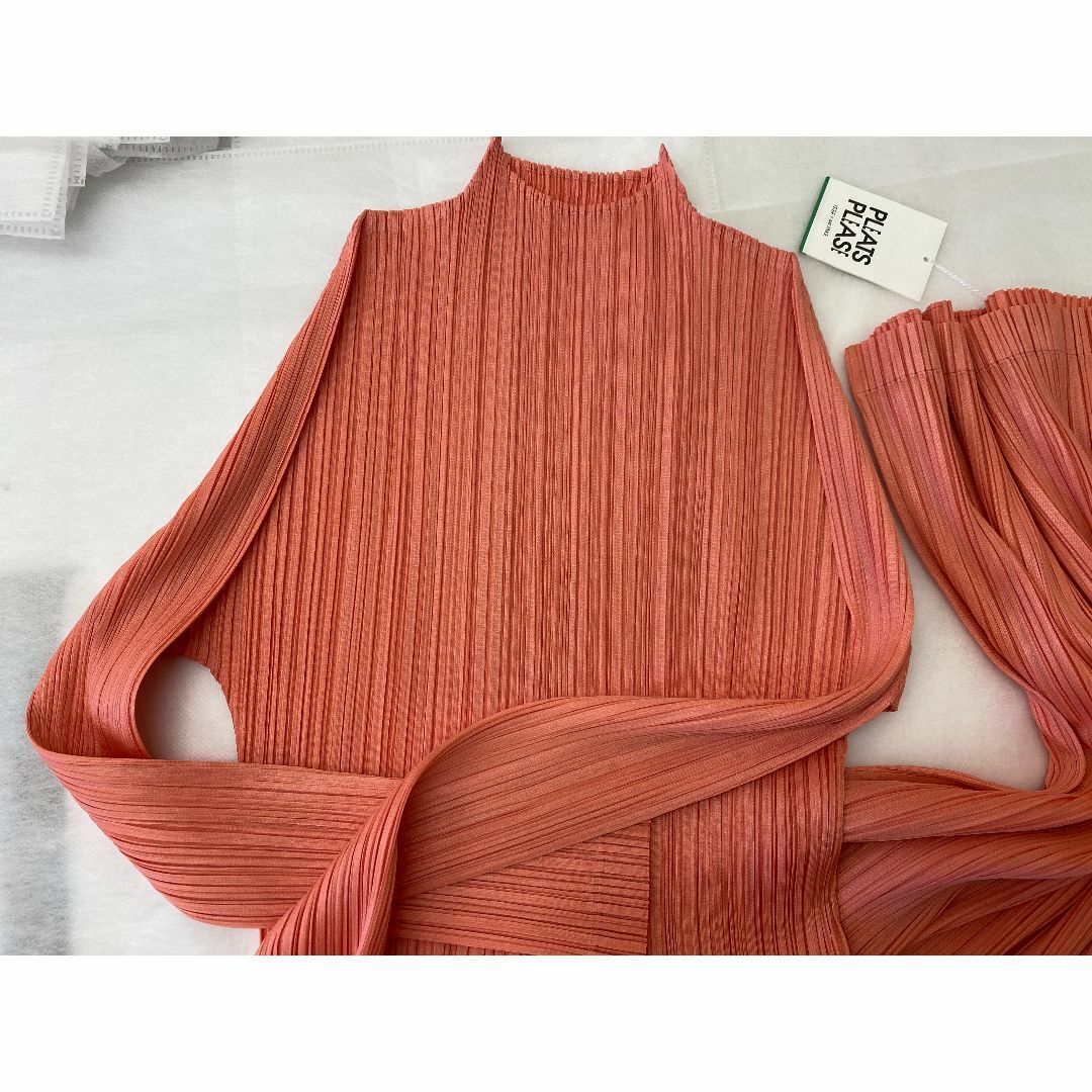 PLEATS PLEASE ISSEY MIYAKE(プリーツプリーズイッセイミヤケ)のPLEATS PLEASE ISSEY MIYAKE　ハイネック長袖ワンピース レディースのワンピース(ロングワンピース/マキシワンピース)の商品写真