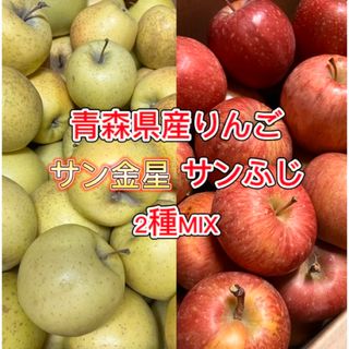 【産地直送】青森県産りんご  家庭用  10kg(フルーツ)