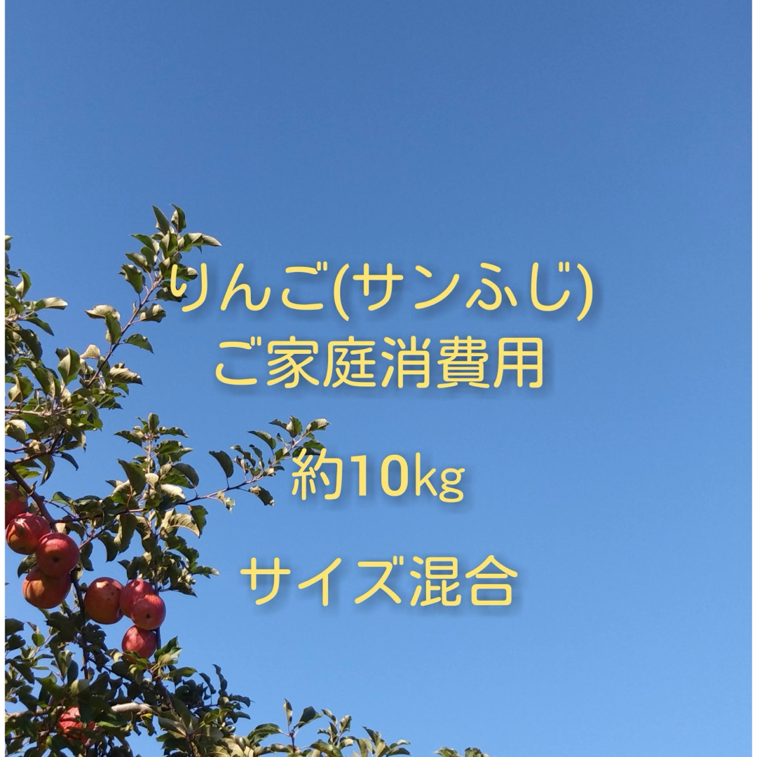 りんご(サンふじ)訳ありご家庭消費用 約10kg 食品/飲料/酒の食品(フルーツ)の商品写真