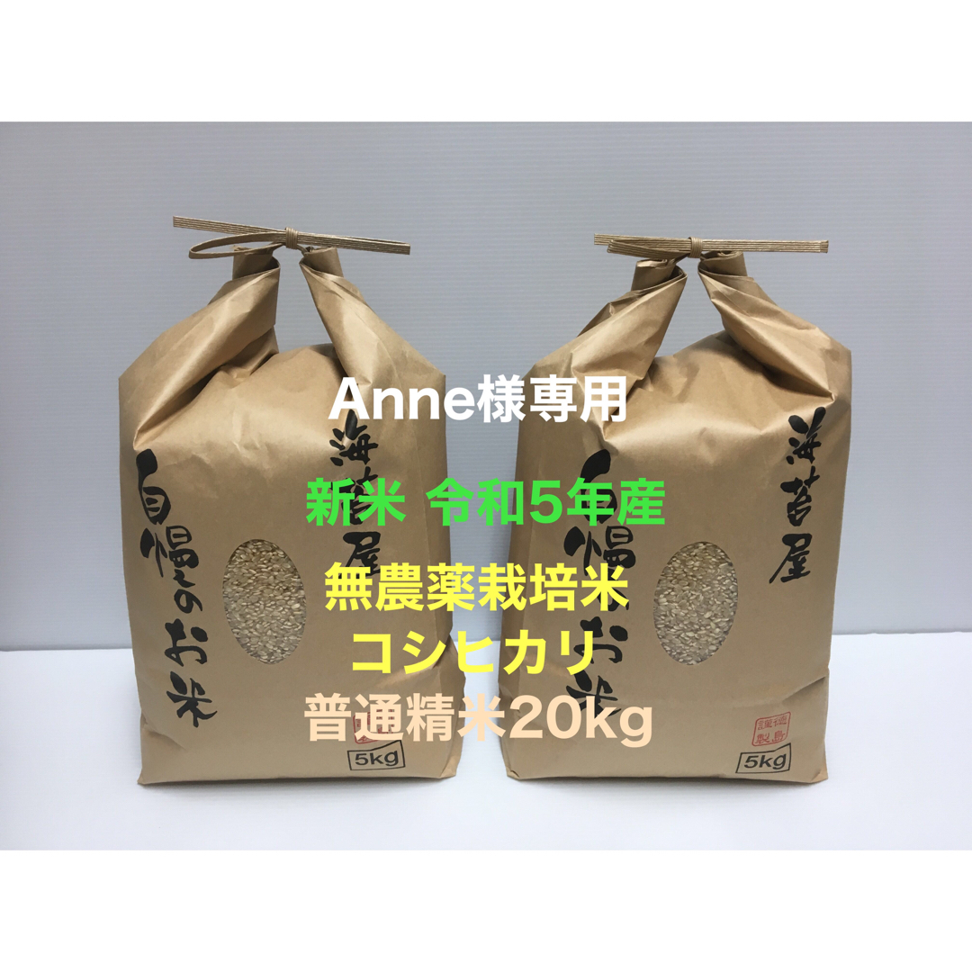 廉価販売 Anne様専用 新米 無農薬コシヒカリ普通精米20kg(5kg×4)令和5