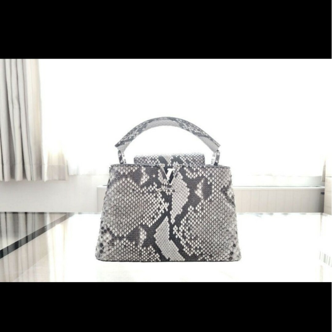 LOUIS VUITTON - ☆ルイヴィトン エキゾチックレザー カプシーヌ LOUIS VUITTON - ☆ルイヴィトン エキゾチックレザー カプシーヌ
