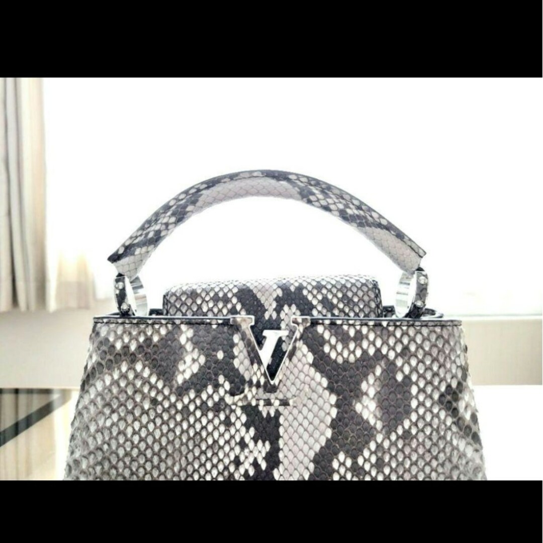 LOUIS VUITTON - ☆ルイヴィトン エキゾチックレザー カプシーヌ LOUIS VUITTON - ☆ルイヴィトン エキゾチックレザー カプシーヌ