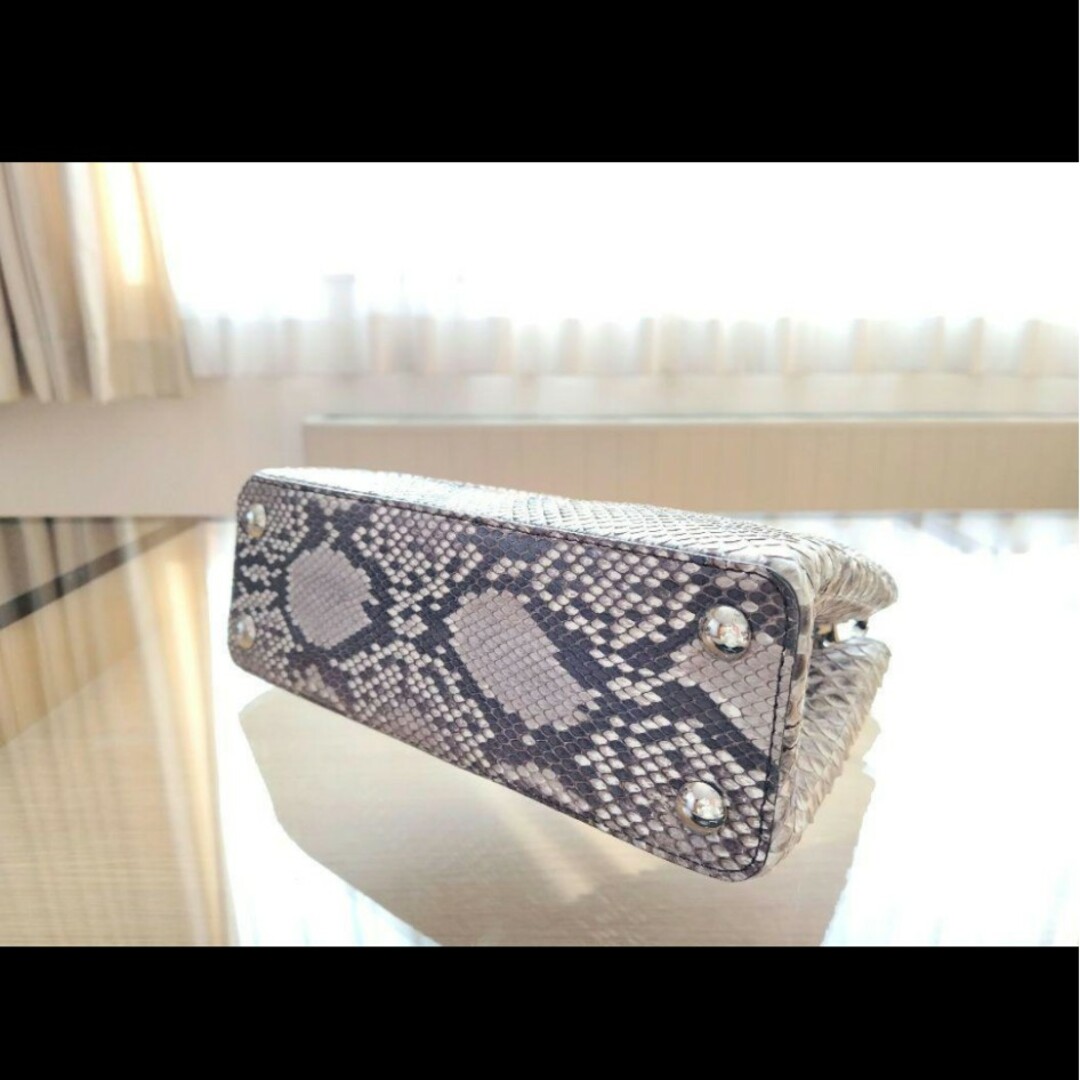 LOUIS VUITTON - ☆ルイヴィトン エキゾチックレザー カプシーヌ LOUIS VUITTON - ☆ルイヴィトン エキゾチックレザー カプシーヌ