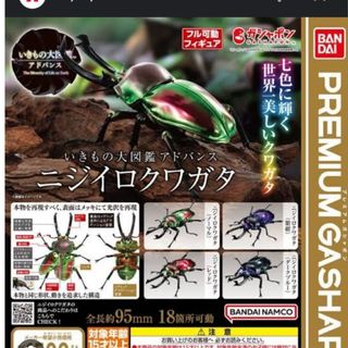 バンダイ(BANDAI)のいきもの大図鑑ニジイロクワガタ　オンライン版全種コンプリート(その他)