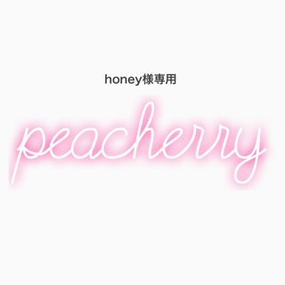 ネイルチップ honey様専用出品(つけ爪/ネイルチップ)