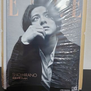 エル(ELLE)の増刊 ELLE JAPON (エル・ジャポン) 特別版 2023年 11月号 [(その他)