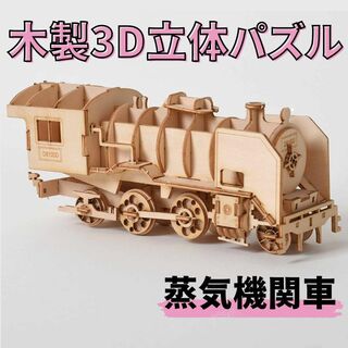 3D 立体パズル　木製 DIY　蒸気機関車　夏休み　工作　自由研究　インテリア(知育玩具)