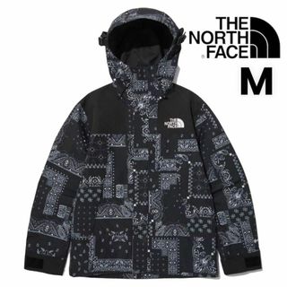 ザノースフェイス(THE NORTH FACE)のノースフェイス NOVELTY ECO GTX MOUNTAIN Mサイズ(ナイロンジャケット)