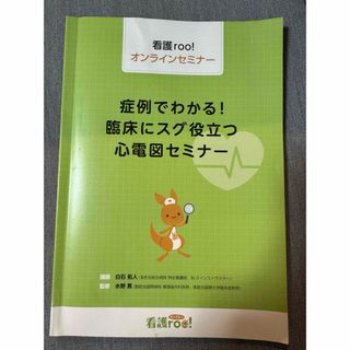 ガッケン(学研)の看護roo!心電図セミナー(健康/医学)