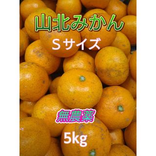 山北みかん 興津早生 無農薬 Sサイズ 5㎏ 高知県産(フルーツ)