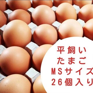 平飼い卵　MSサイズ2パック+6個　国産もみじの卵　新鮮　産みたて(野菜)