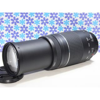 キヤノン(Canon)の超望遠★Canon EF 75-300mm USM★おすすめレンズ★(レンズ(ズーム))