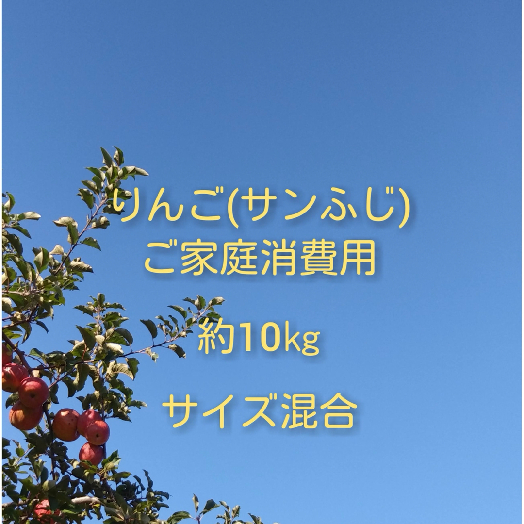 りんご(サンふじ)訳ありご家庭消費用 約10kg 食品/飲料/酒の食品(フルーツ)の商品写真