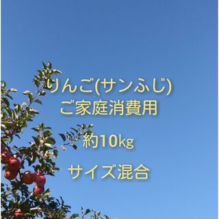 りんご(サンふじ)訳ありご家庭消費用 約10kg(フルーツ)