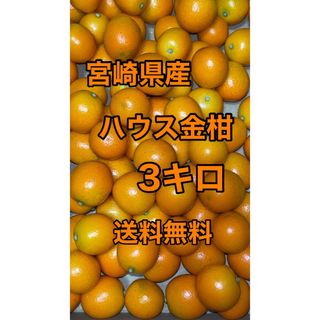 宮崎県産　ハウス金柑　箱込3キロ　サイズS〜Mクラス(フルーツ)