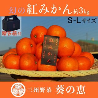 翌日発送 紅みかん 黒箱約３㌔高級味濃い みかん 小原紅早生みかん まどんな (フルーツ)