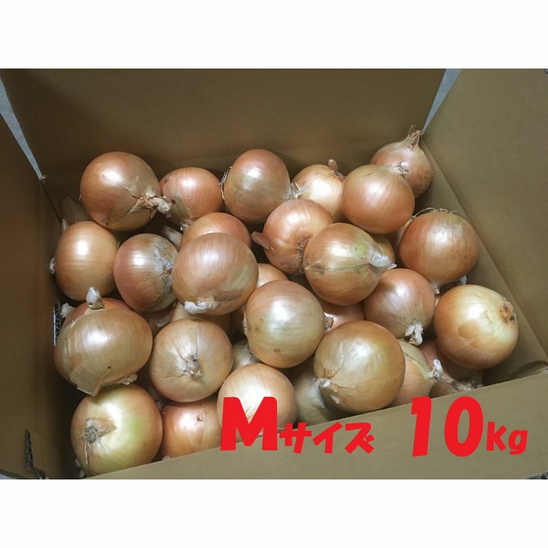 北海道産　タマネギ　Ｍサイズ　10kg　農家直送 食品/飲料/酒の食品(野菜)の商品写真