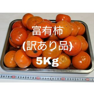 【生産直売】富有柿(ふゆがき) 広島県福山市産 約５kg (約25個)(家庭用)(フルーツ)