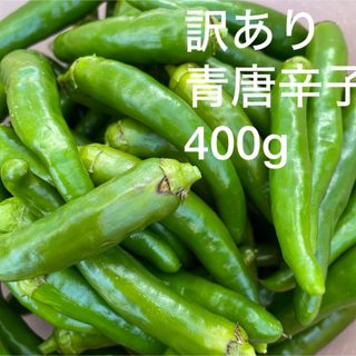 訳あり　青唐辛子　400g  農薬不使用栽培(野菜)