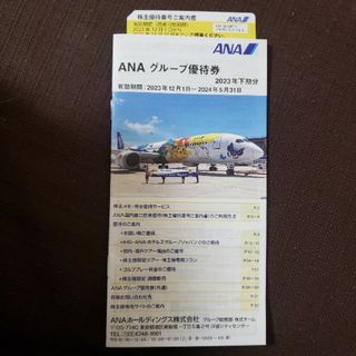 エーエヌエー(ゼンニッポンクウユ)(ANA(全日本空輸))のANA(全日空)　株主優待(その他)