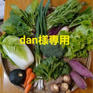 dan様専用ページです(野菜)