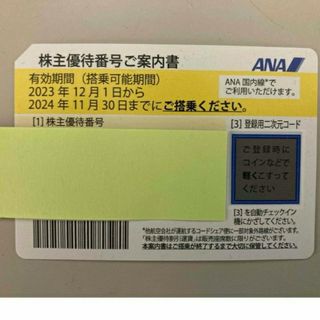 株主優待　ANA  2024年11月30日まで(航空券)