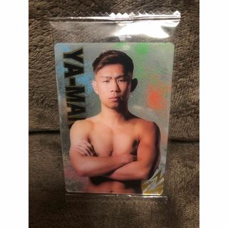 早い者勝ち　新品未開封　YA-MAN  RIZIN  RIZINウエハース