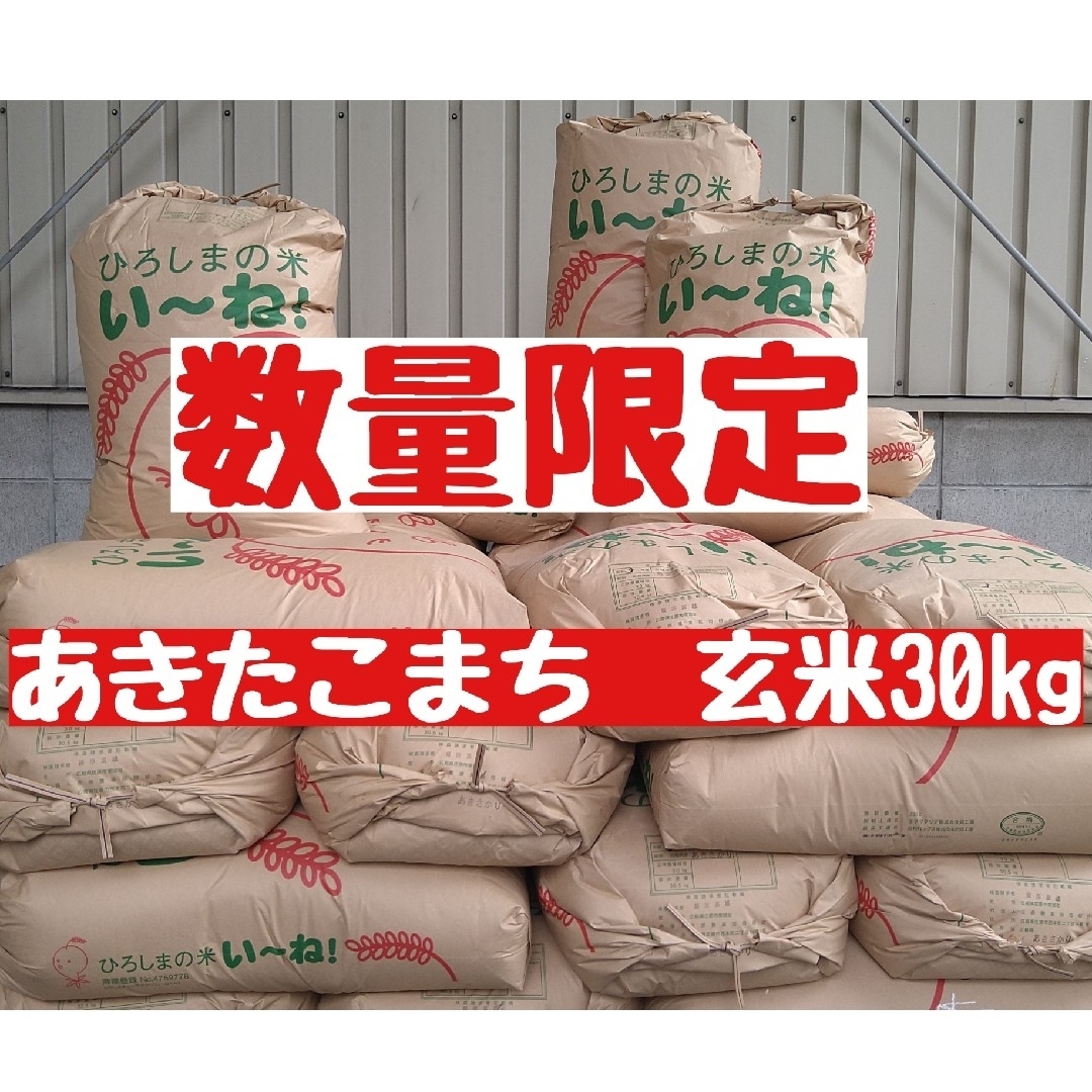 広島県産あきたこまち精米27kg(令和5年産)令和5年産 - 米/穀物