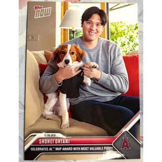 メジャーリーグベースボール(MLB)の大谷翔平 犬谷 愛犬とのツーショット MLB Topps now(スポーツ選手)