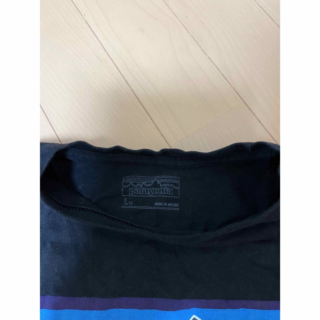 patagonia(パタゴニア)のパタゴニア　レディースＬ レディースのトップス(Tシャツ(半袖/袖なし))の商品写真