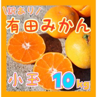 訳あり‼️和歌山県産 有田みかん 10kg【小玉】フルーツ ミカン(フルーツ)