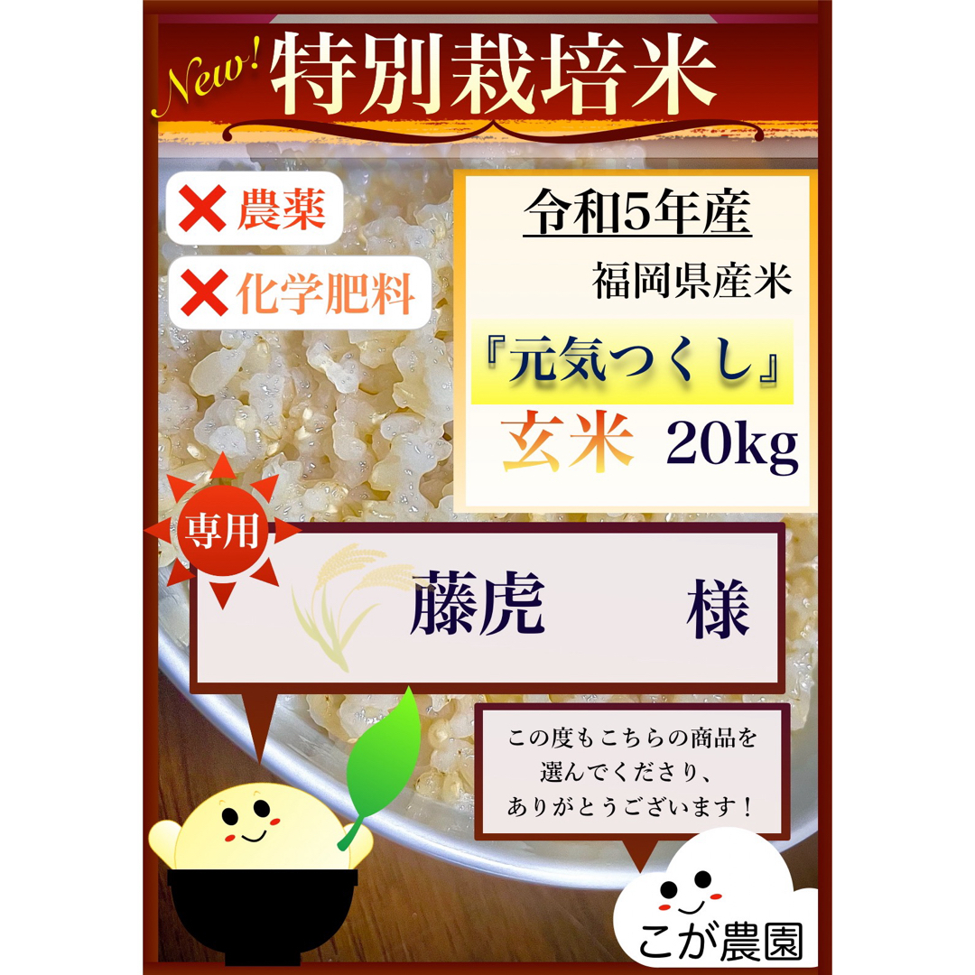 藤虎様専用　準自然米　福岡県産「元気つくし」令和５年産　玄米20kgのサムネイル