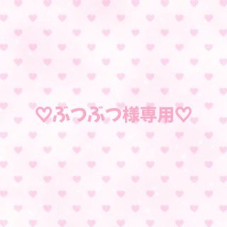 ♡ぶつぶつ様専用♡(その他)