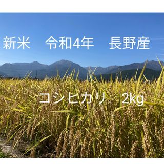 令和4年長野産コシヒカリ　ゆうパケットポスト箱込みで2kg(米/穀物)