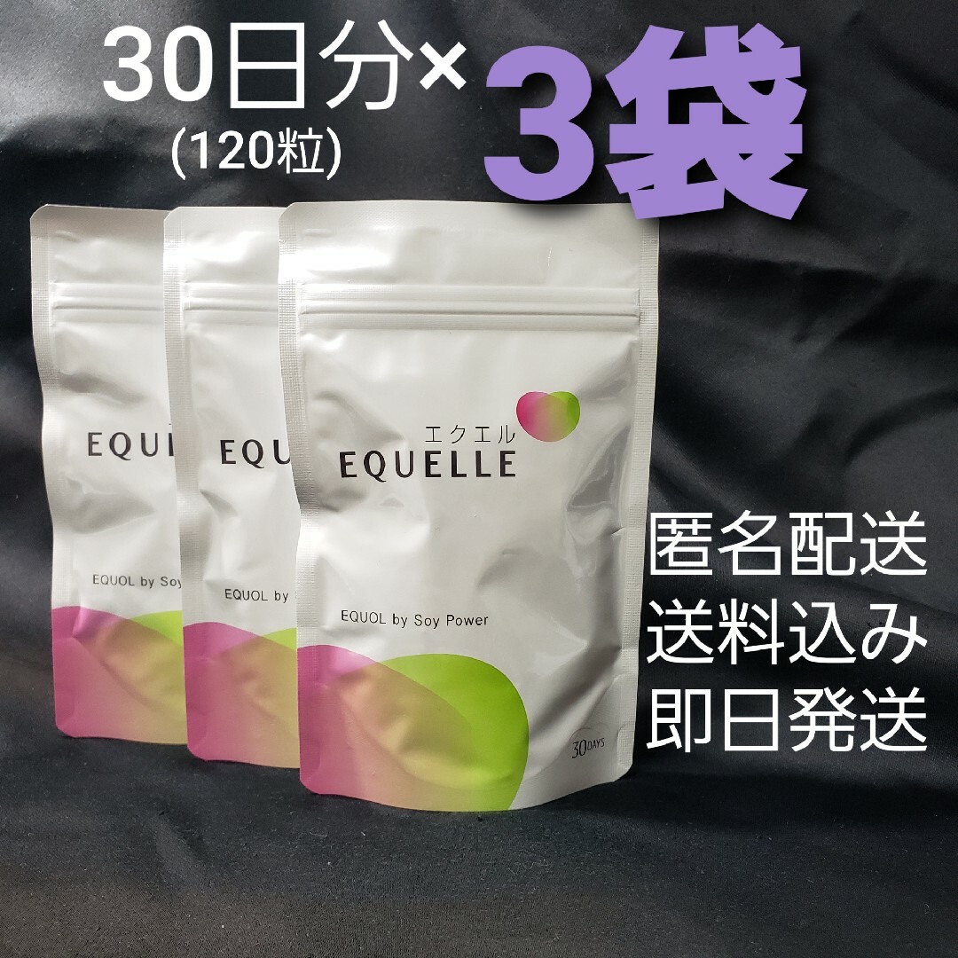 エクエル 120粒 30日分 パウチ 3袋食品/飲料/酒 - その他