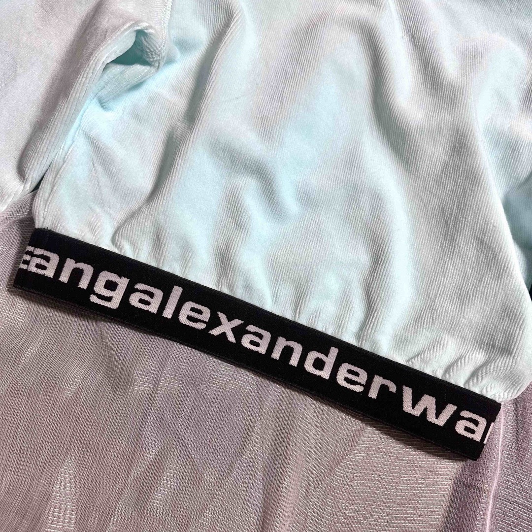 Alexander Wang(アレキサンダーワン)のアレキサンダーワン　トレーナー　ストレッチ　コーデュロイ　スウェット　美品 レディースのトップス(トレーナー/スウェット)の商品写真