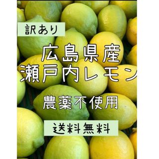 瀬戸内　広島瀬戸内レモン　12個入りセット　防腐剤不使用　(フルーツ)