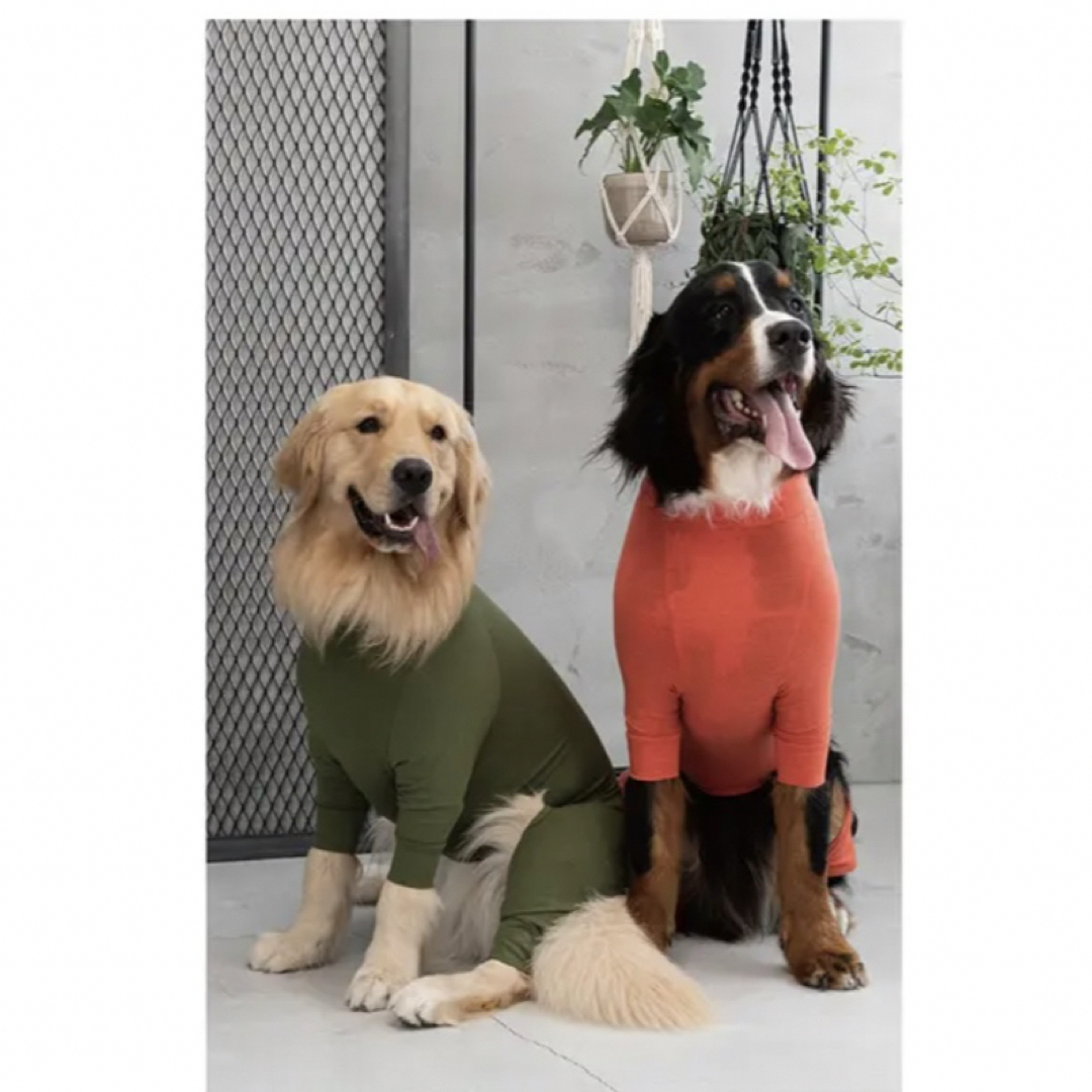 MANDARINE BROTHERS(マンダリンブラザーズ)のマンダリンブラザーズ  スキンタイトスーツ　犬用品　犬服　ペットグッズ その他のペット用品(犬)の商品写真