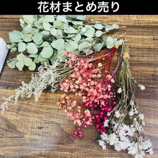 ドライフラワー　花材　ユーカリ　スターチス　カスミソウ　アンモビューム　セット(ドライフラワー)