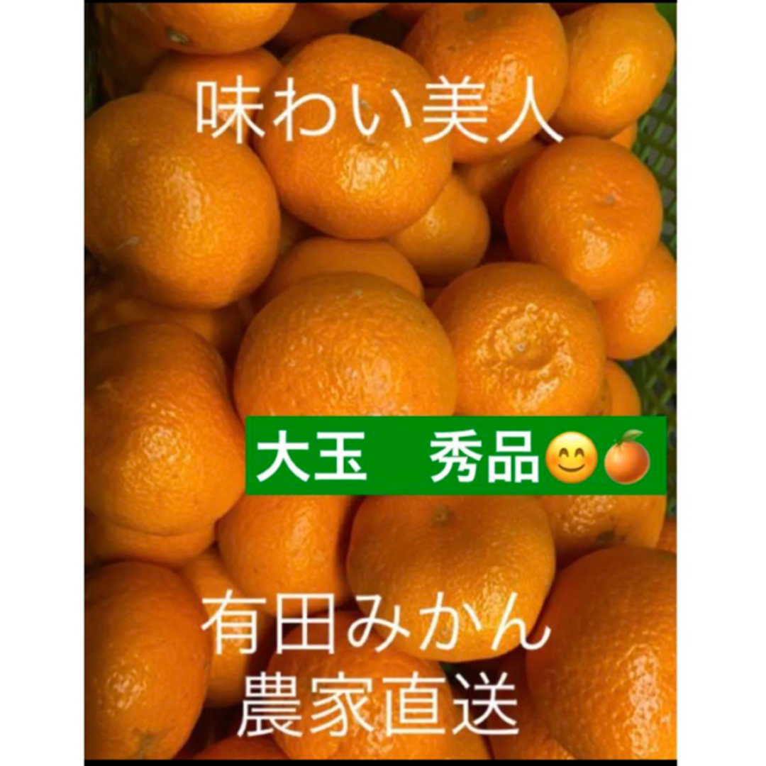 有田みかん農家直送☆ブランド味わい美人大玉秀品箱込み１０キロ 食品/飲料/酒の食品(フルーツ)の商品写真