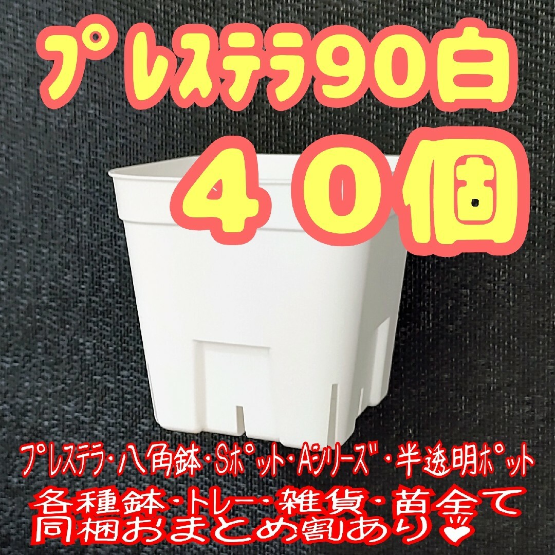 【スリット鉢】プレステラ90白40個 多肉植物 プラ鉢 ハンドメイドのフラワー/ガーデン(プランター)の商品写真