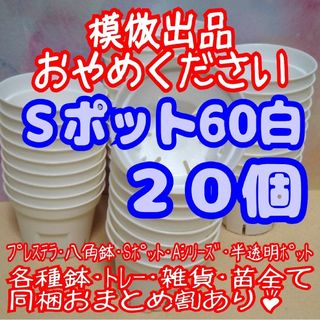 《Sポット60》白 20個 スリット鉢 プラ鉢 2号鉢相当 多肉植物 プレステラ(プランター)