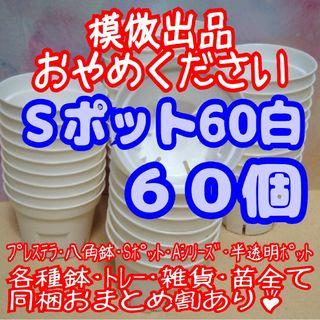 《Sポット60》白 60個 スリット鉢 プラ鉢 2号鉢相当 多肉植物 プレステラ(プランター)