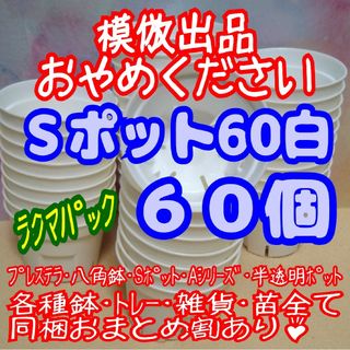 《Sポット60》白60個スリット鉢プラ鉢2号鉢相当多肉プレステラ-ラクマパック-(プランター)