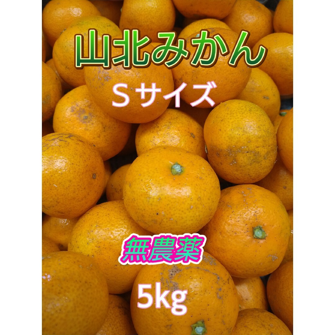 山北みかん 興津早生 無農薬 Sサイズ 5㎏ 高知県産 食品/飲料/酒の食品(フルーツ)の商品写真