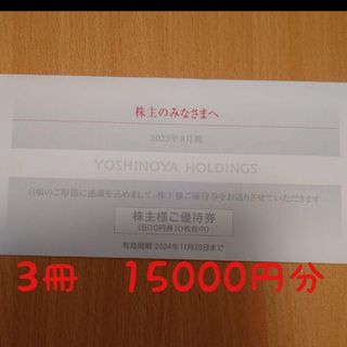 ヨシックス 株主優待お食事券10000円分(千円券×10枚) 22.6.30迄