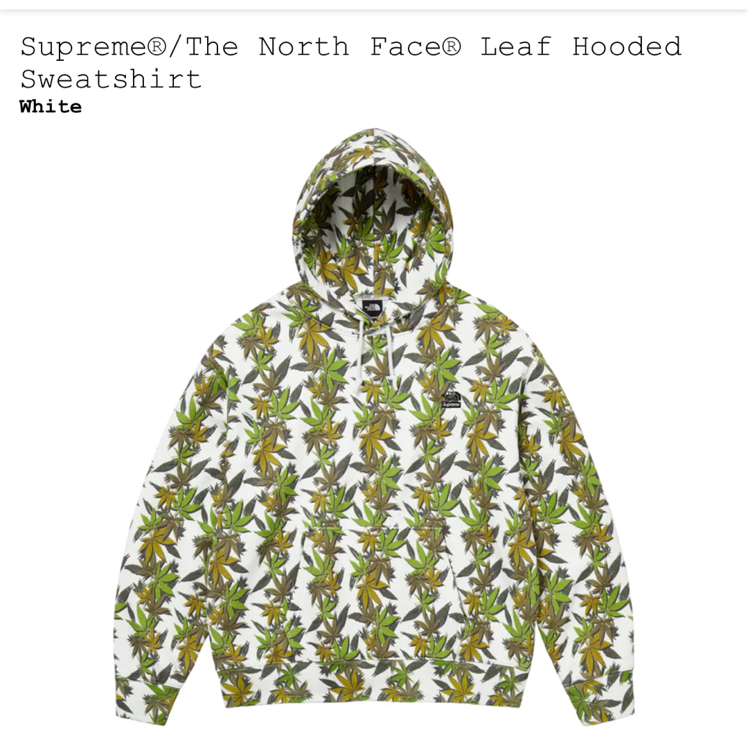 Supreme The North Face Leaf Hooded Sweatthenorthface