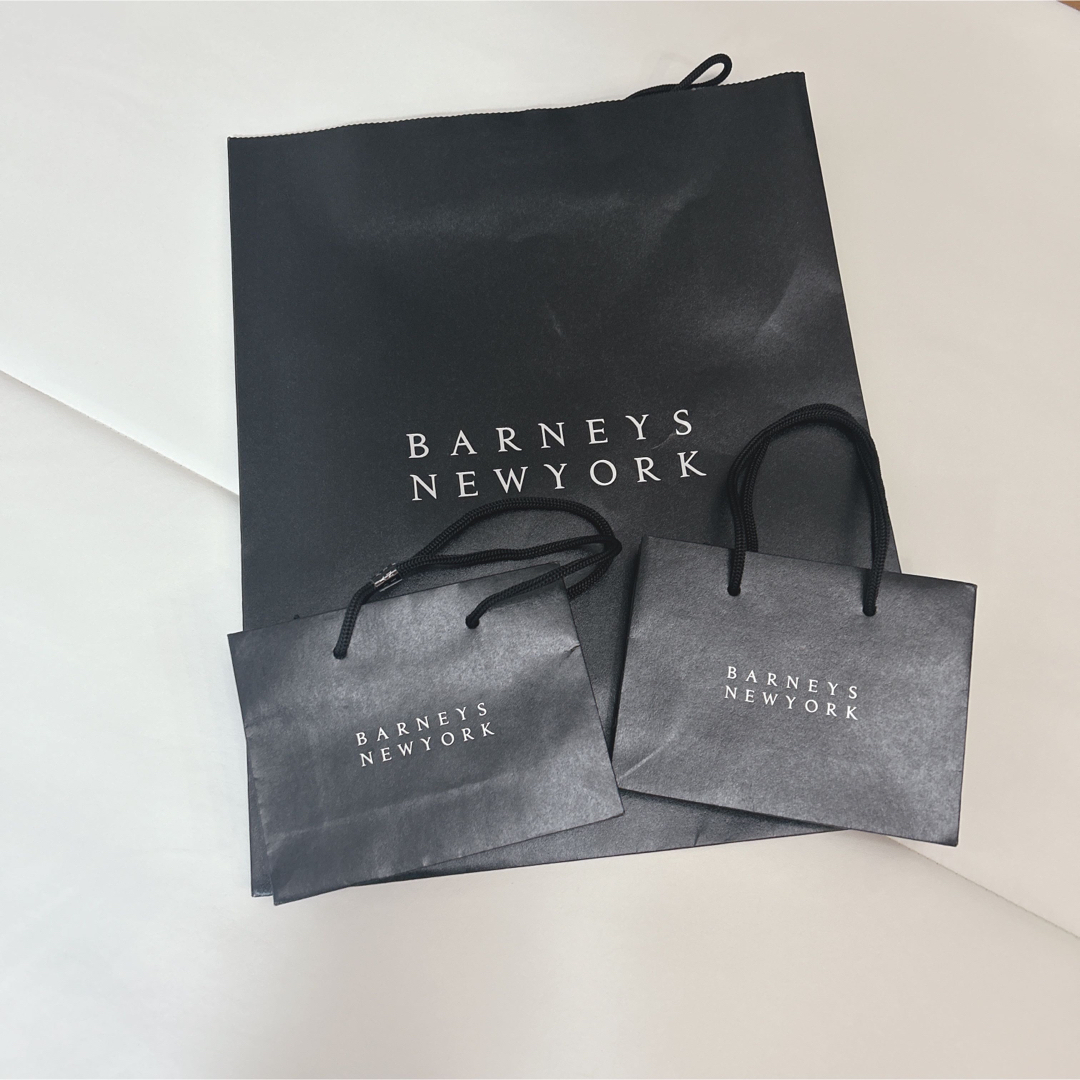 BARNEYS NEW YORK(バーニーズニューヨーク)のバーニーズ レディースのバッグ(ショップ袋)の商品写真