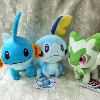 ポケモン(ポケモン)のポケモンぬいぐるみ　2体セット　ポケモンセンターで購入(ぬいぐるみ)