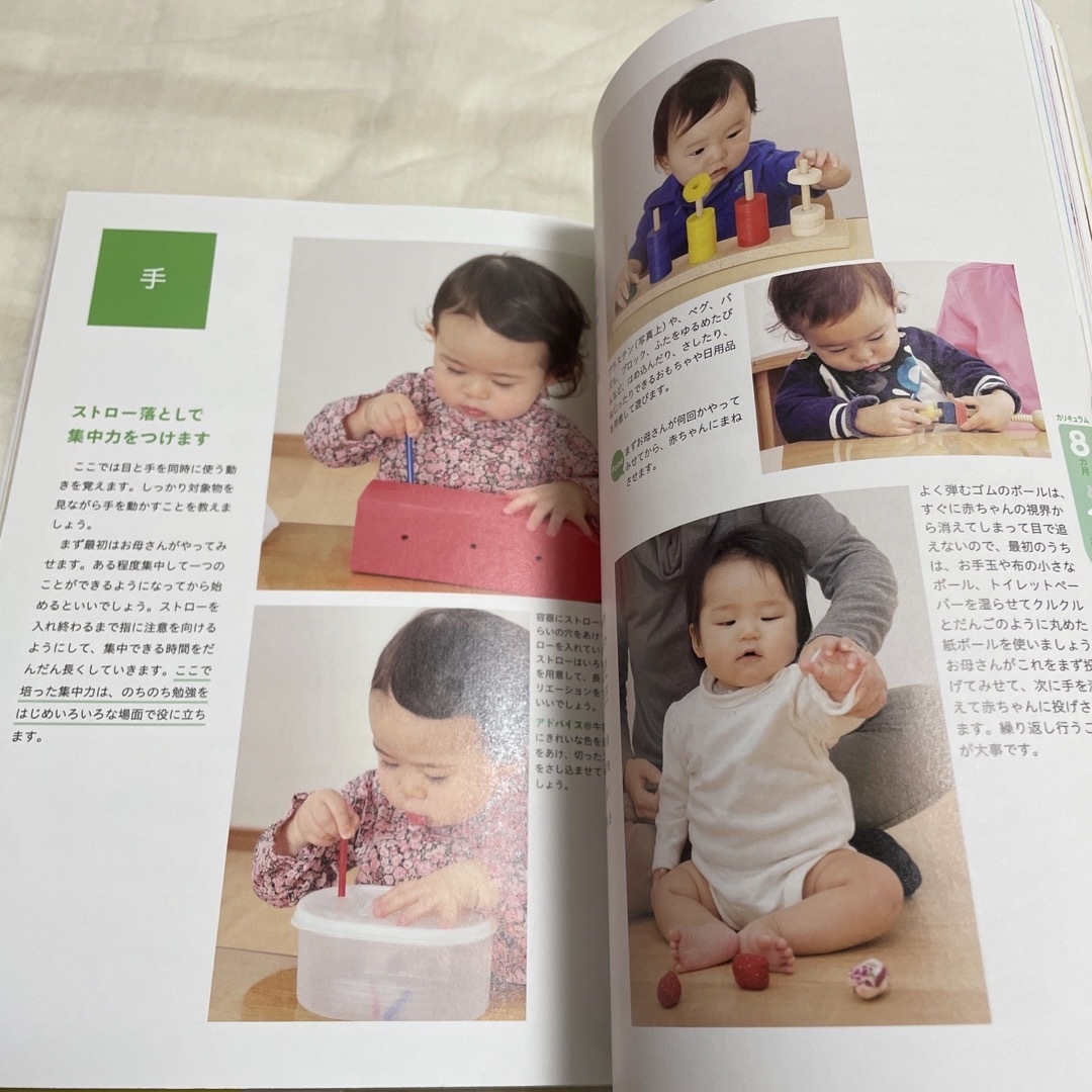 赤ちゃんの脳を育む本 エンタメ/ホビーの本(住まい/暮らし/子育て)の商品写真